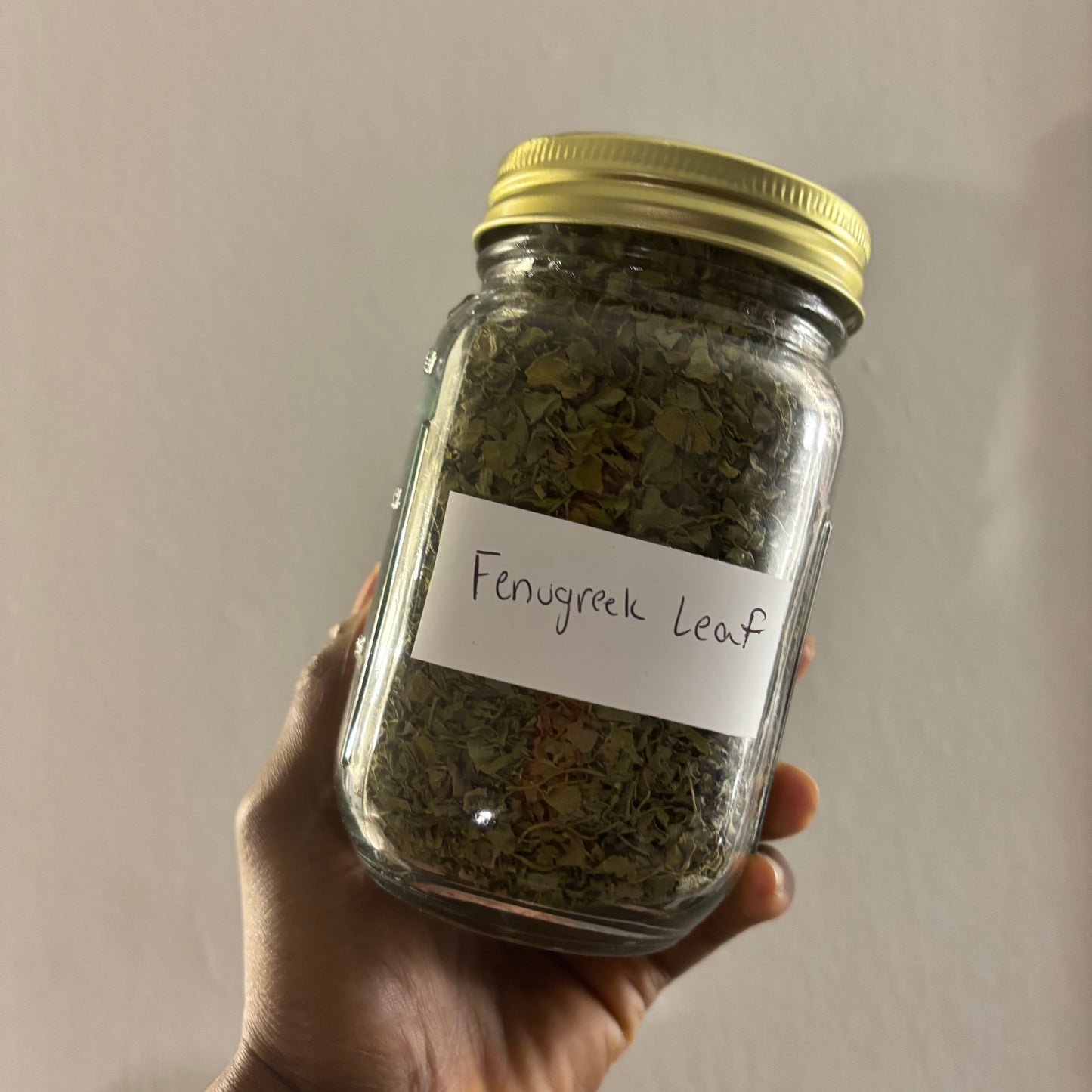 Fenugreek Leaf