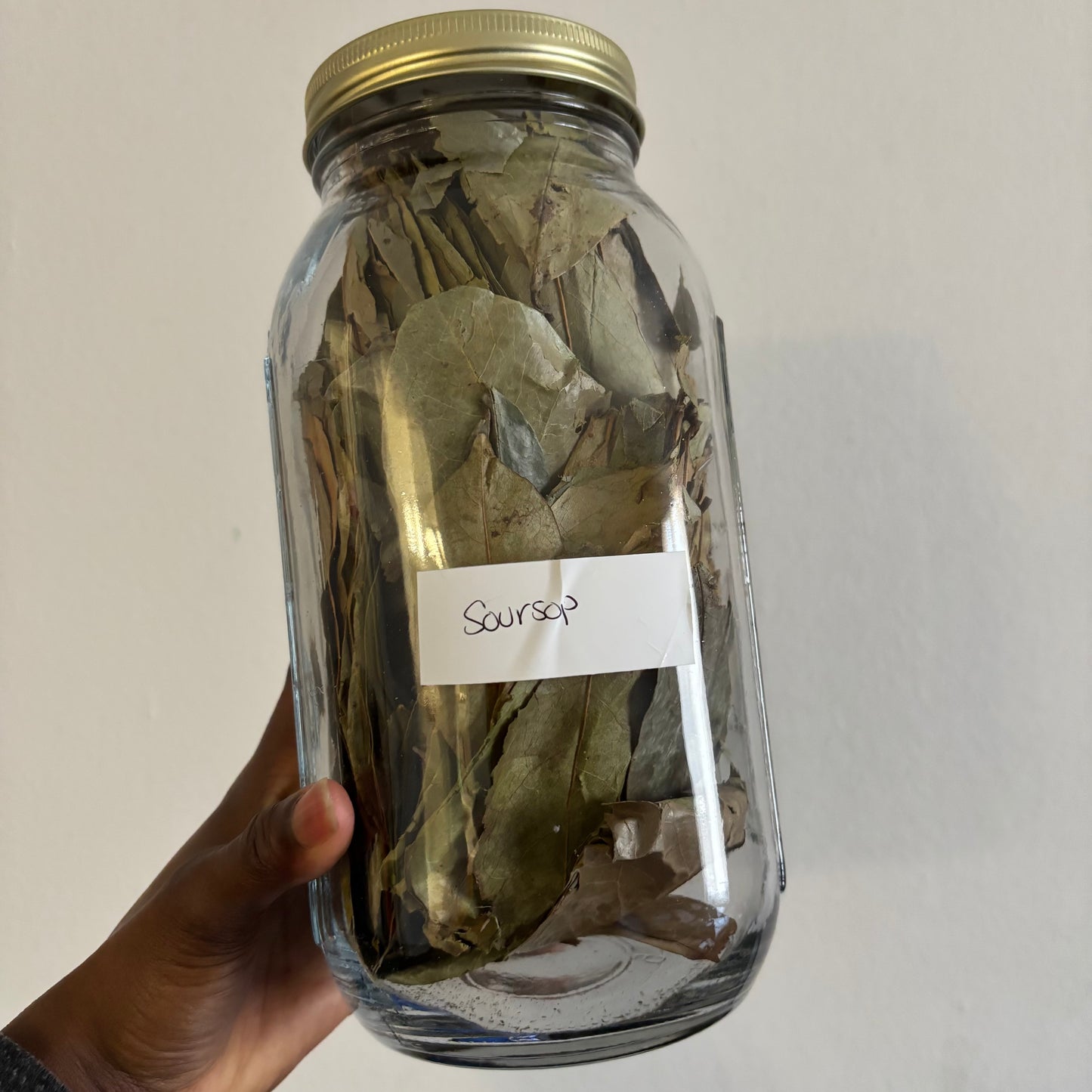 Soursop Leaf